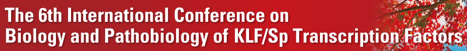 The 6th International Conference on Biology and Pathobiology of KLF/Sp Transcription Factors