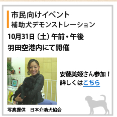 市民向けイベント
補助犬デモンストレーション
10月31日（土）午前・午後
羽田空港内にて開催
